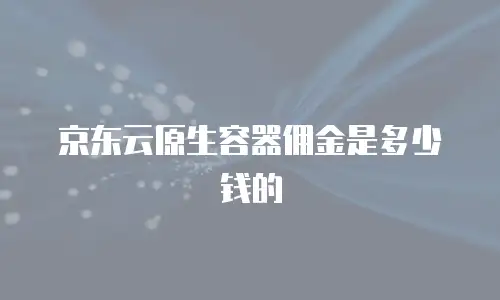 京东云容器一个月多少钱正常