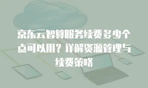 京东云政策：开启电商新时代