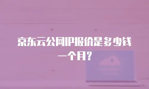 京东云公网IP报价是多少钱一个月？