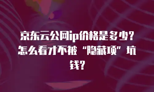 京东云公网ip价格是多少？怎么看才不被“隐藏项”坑钱？