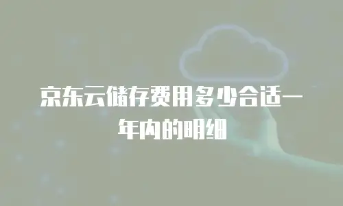 京东云储存费用多少合适一年内的明细