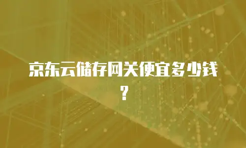 京东云储存网关便宜多少钱？