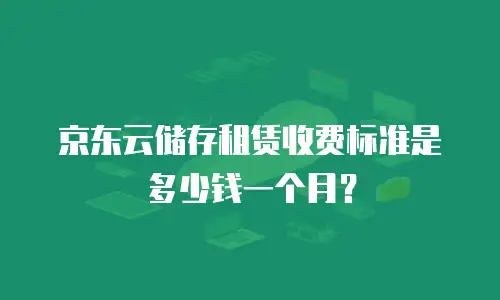 京东云储存租赁收费标准是多少钱一个月？
