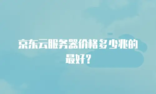 京东云服务器价格多少兆的最好？