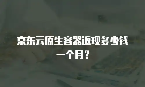 京东云原生容器返现多少钱一个月？