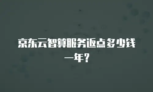 京东云智算服务返点多少钱一年？