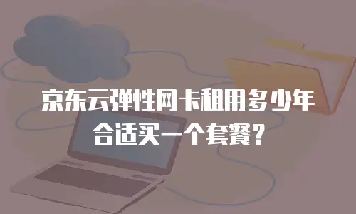 京东云弹性网卡租用多少年合适买一个套餐？