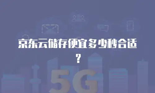 京东云储存便宜多少秒合适？