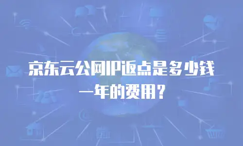 京东云公网IP返点是多少钱一年的费用？
