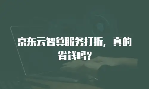 京东云智算服务打折，真的省钱吗？