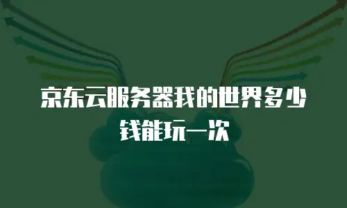 京东云服务器我的世界多少钱能玩一次