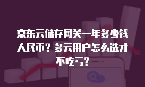 京东云储存网关一年多少钱人民币？多云用户怎么选才不吃亏？