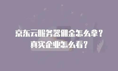 京东云服务器佣金怎么拿？真实企业怎么看？