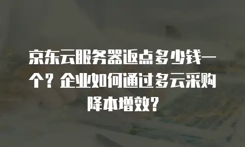 京东云服务器返点多少钱一个？企业如何通过多云采购降本增效？