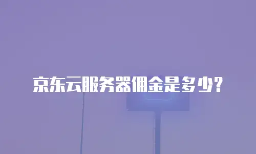 京东云服务器佣金是多少？