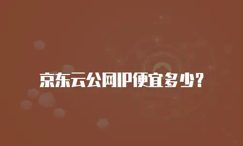 京东云公网IP便宜多少？