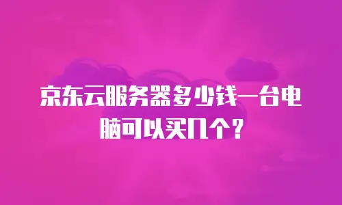 京东云服务器多少钱一台电脑可以买几个？
