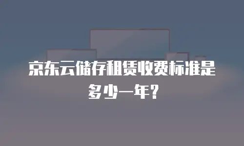京东云储存租赁收费标准是多少一年？