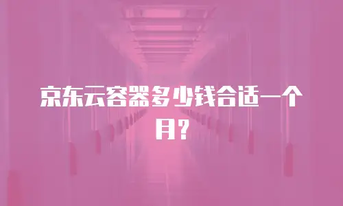京东云容器多少钱合适一个月？