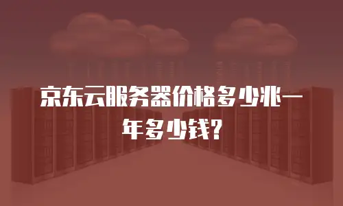 京东云服务器价格多少兆一年多少钱？