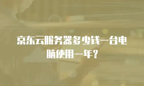 京东云服务器多少钱一台电脑使用一年？