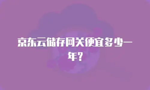 京东云储存网关便宜多少一年？