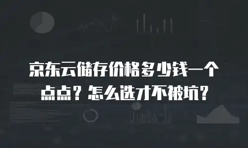 京东云储存价格多少钱一个点点？怎么选才不被坑？