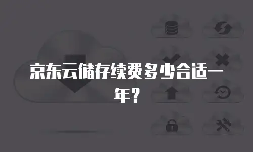 京东云储存续费多少合适一年？