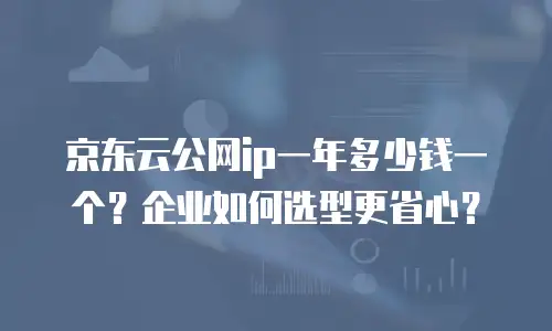 京东云公网ip一年多少钱一个？企业如何选型更省心？