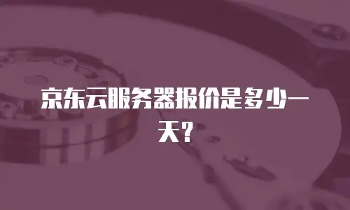 京东云服务器报价是多少一天？