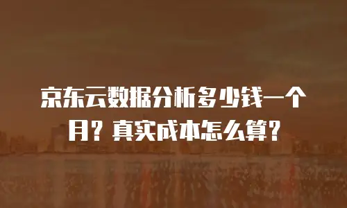 京东云数据分析多少钱一个月？真实成本怎么算？