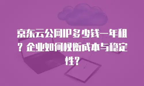 京东云公网IP多少钱一年租？企业如何权衡成本与稳定性？