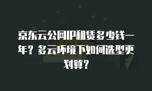 京东云公网IP租赁多少钱一年？多云环境下如何选型更划算？