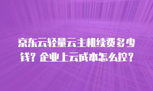 京东云轻量云主机续费多少钱？企业上云成本怎么控？