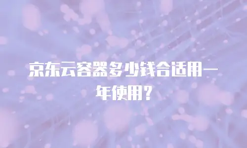 京东云容器多少钱合适用一年使用？