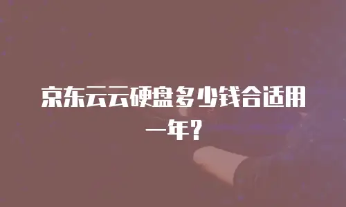 京东云云硬盘多少钱合适用一年？