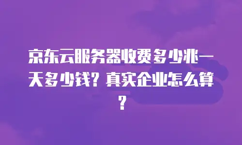 京东云服务器收费多少兆一天多少钱？真实企业怎么算？