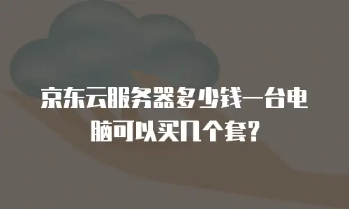 京东云服务器多少钱一台电脑可以买几个套？