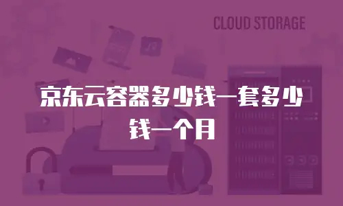 京东云容器多少钱一套多少钱一个月