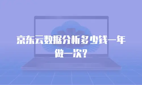 京东云数据分析多少钱一年做一次？