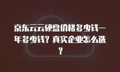 京东云云硬盘价格多少钱一年多少钱？真实企业怎么选？