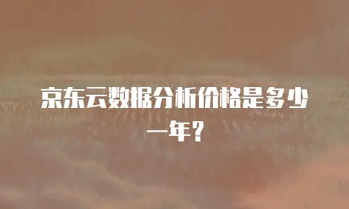 京东云数据分析价格是多少一年？