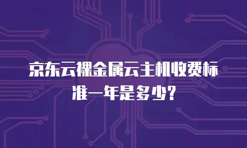 京东云裸金属云主机收费标准一年是多少？