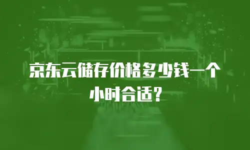 京东云储存价格多少钱一个小时合适？