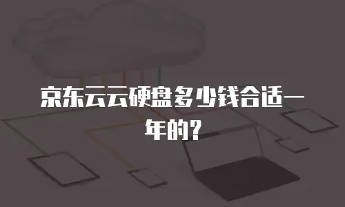 京东云云硬盘多少钱合适一年的？