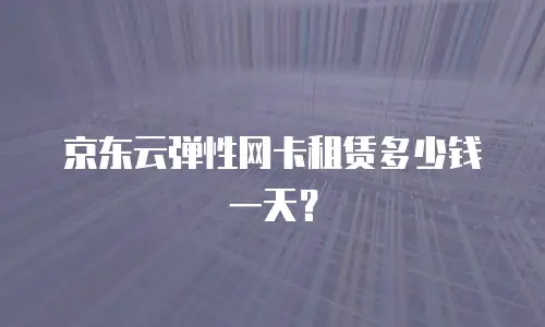 京东云弹性网卡租赁多少钱一天？