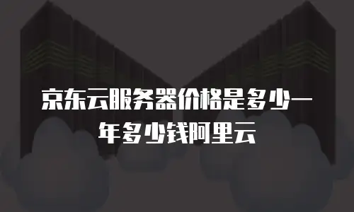 京东云服务器价格是多少一年多少钱阿里云