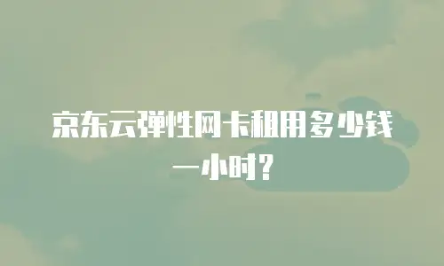 京东云弹性网卡租用多少钱一小时？