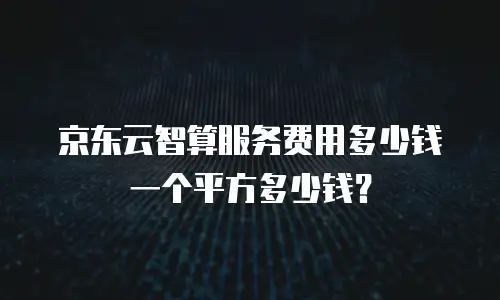 京东云智算服务费用多少钱一个平方多少钱？