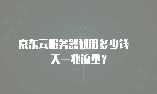 京东云服务器租用多少钱一天一兆流量？